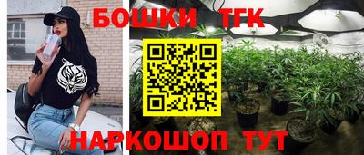 МДПВ Будённовск
