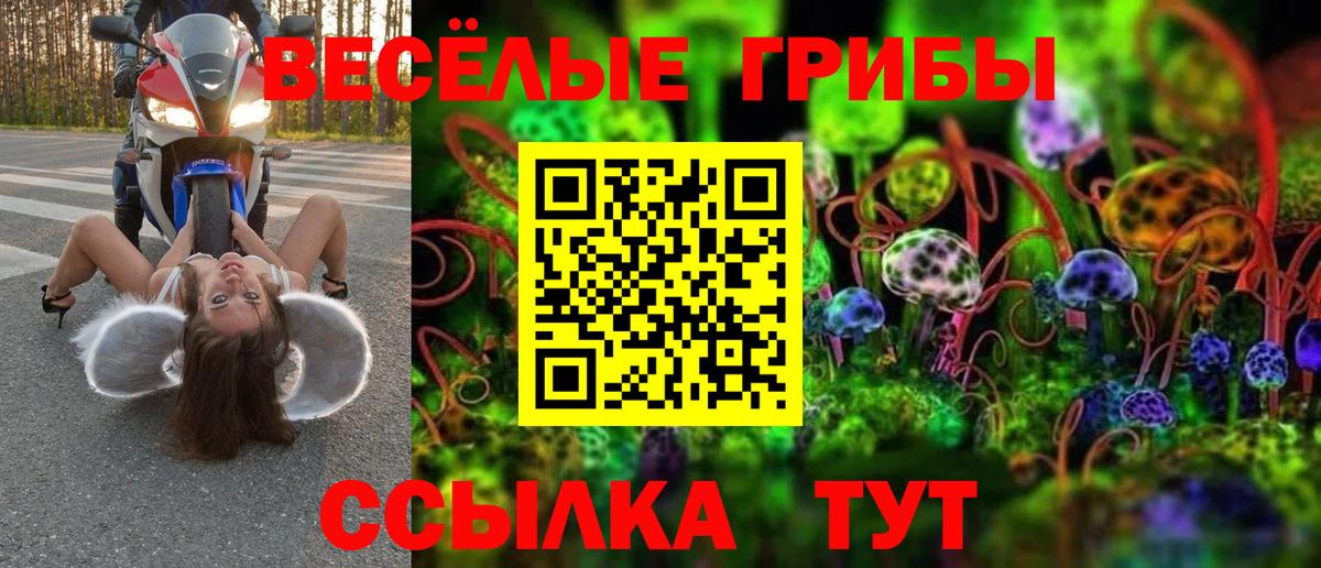Псилоцибиновые грибы MAGIC MUSHROOMS Майский