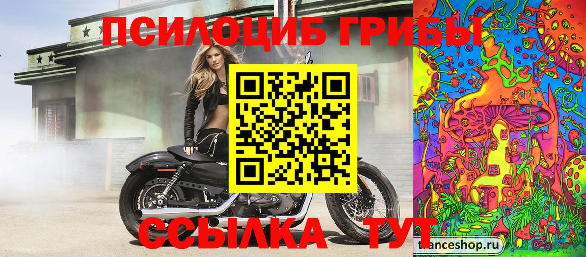 Псилоцибиновые грибы Psilocybine cubensis  Галлюциногенные грибы Psilocybine cubensis  Вход с VPN  Майский 